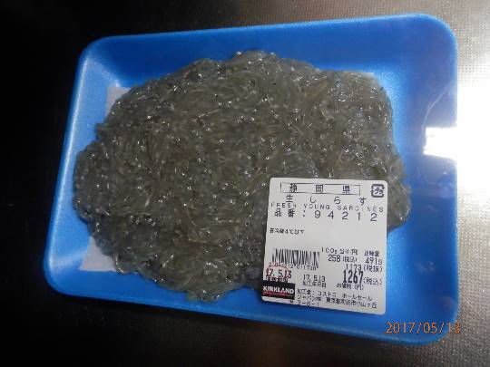 生き物ルーム第37