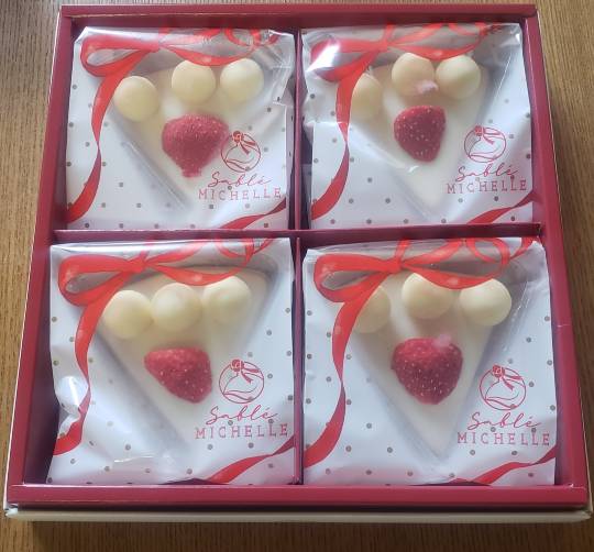 マスク同窓会詰所兼ニューフェイス歓迎所18