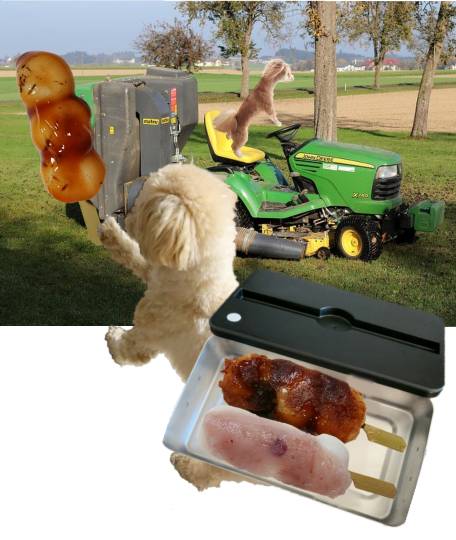 生き物ルーム第39