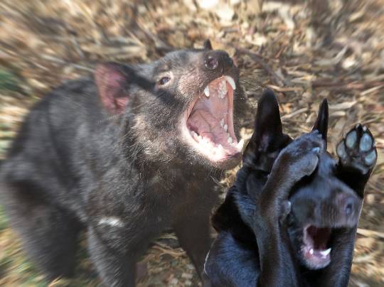 生き物ルーム第37