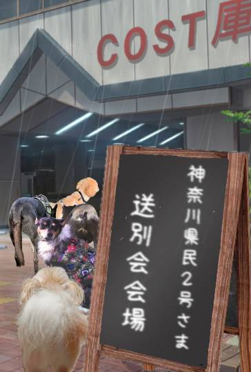 生き物ルーム第36