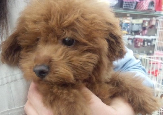 生き物ルーム第36