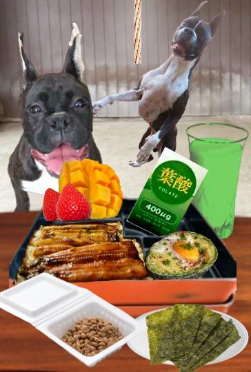 生き物ルーム第38