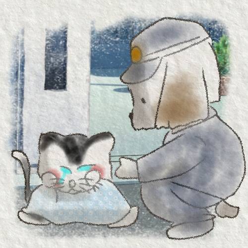 生き物ルーム第37