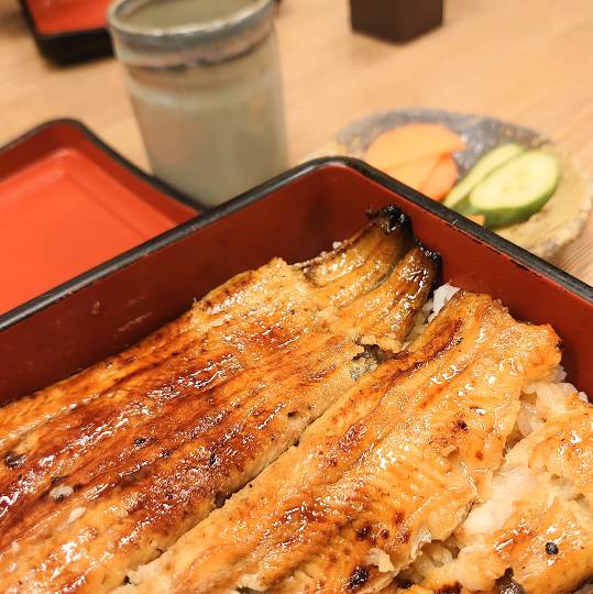 マスク同窓会詰所兼ニューフェイス歓迎所17