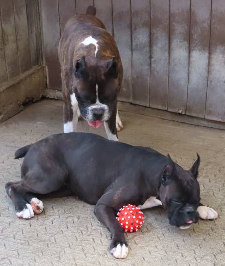 生き物ルーム第39