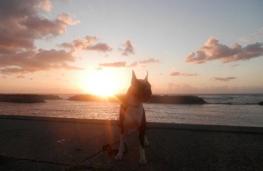 生き物ルーム第39