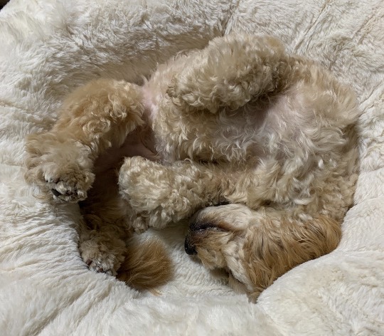 生き物ルーム第36