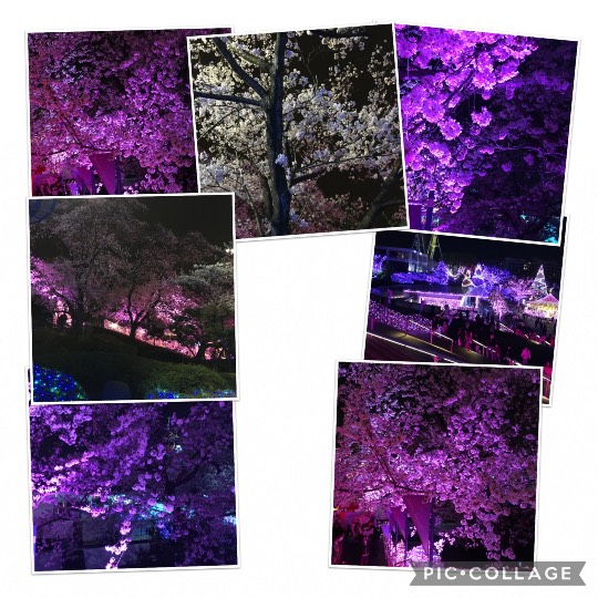 マスク同窓会詰所兼ニューフェイス歓迎所19