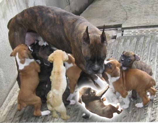 生き物ルーム第39