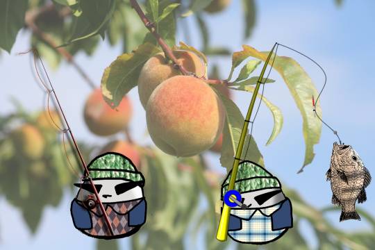 ぽぽりんの紅茶の小部屋 2