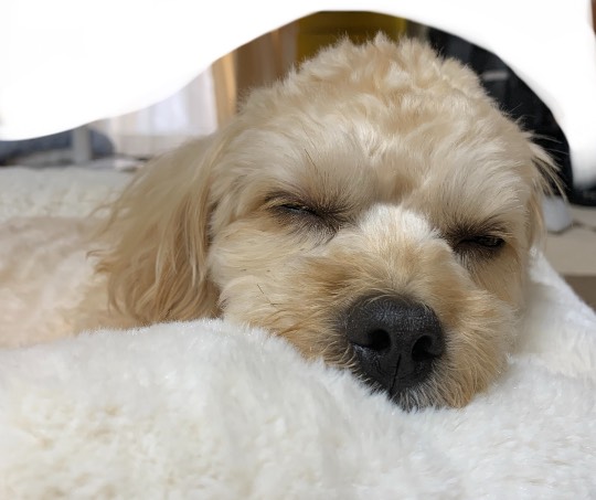 生き物ルーム第39