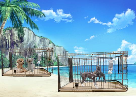 生き物ルーム第36