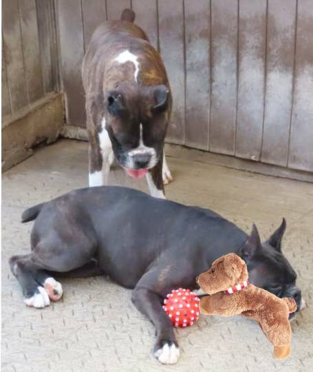 生き物ルーム第39