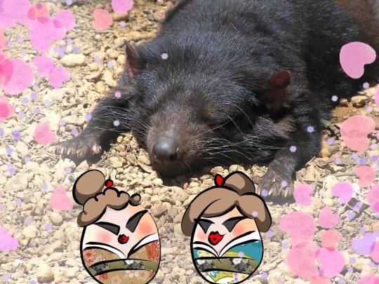 生き物ルーム第37