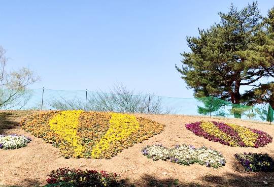 マスク同窓会詰所兼ニューフェイス歓迎所19