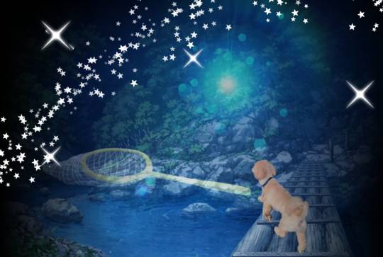 生き物ルーム第38