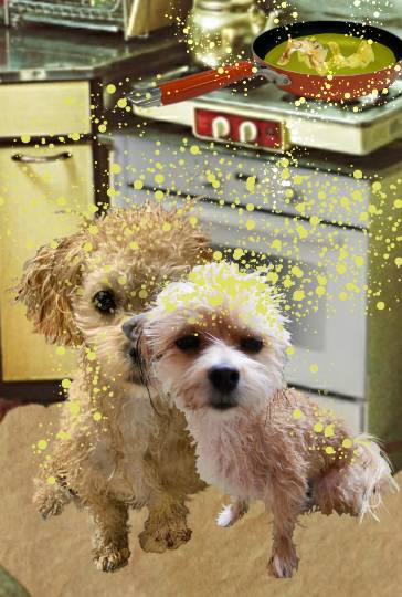 生き物ルーム第38