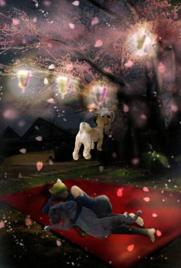 生き物ルーム第39