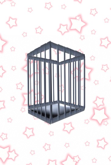 生き物ルーム第37