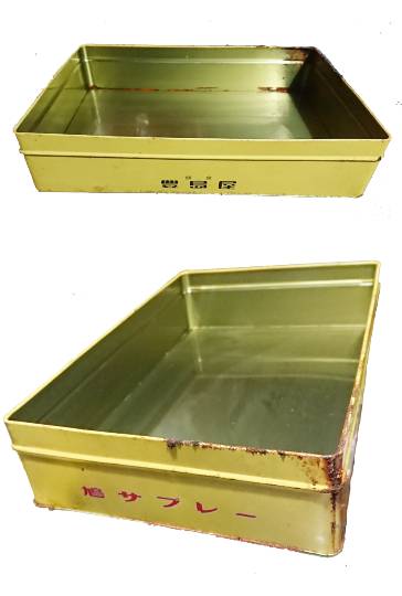 生き物ルーム第36