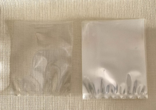 生き物ルーム第36