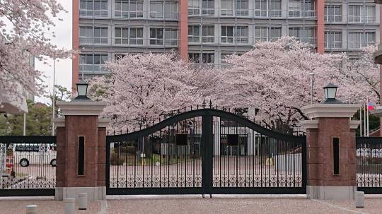 マスク同窓会詰所兼ニューフェイス歓迎所19