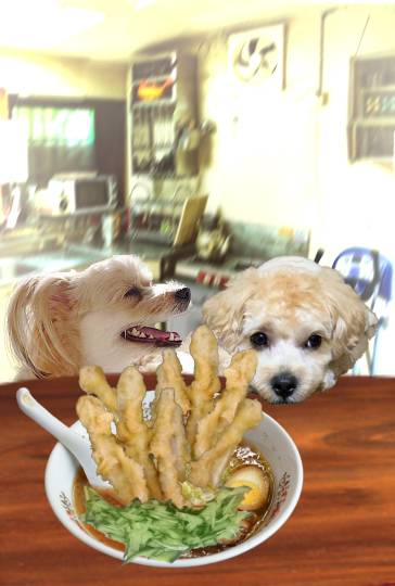 生き物ルーム第38