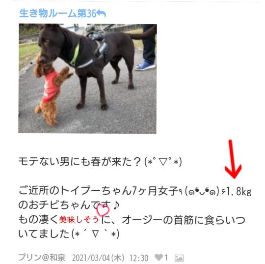 生き物ルーム第36