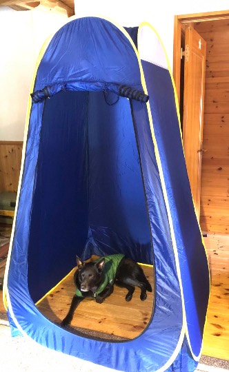 生き物ルーム第38