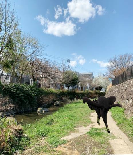 生き物ルーム第39