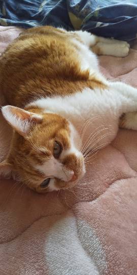 生き物ルーム第38