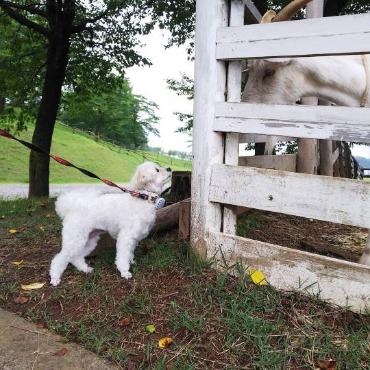 生き物ルーム第37
