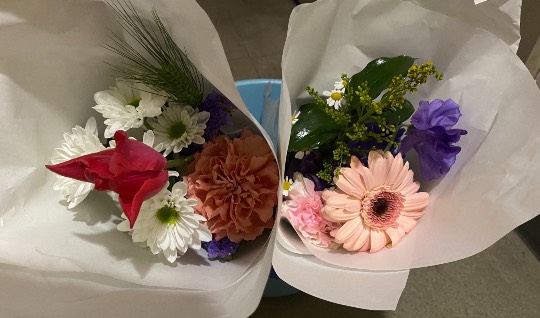 生き物ルーム第38