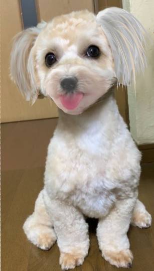 生き物ルーム第38