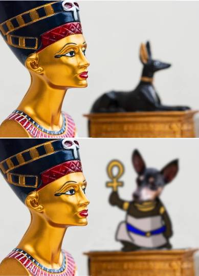 生き物ルーム第36