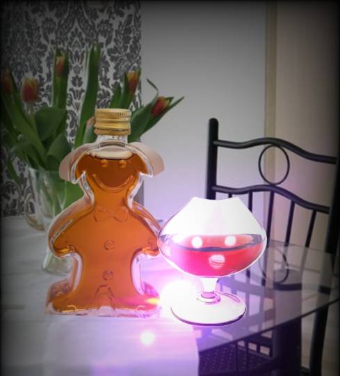 生き物ルーム第36