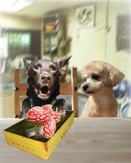 生き物ルーム第37