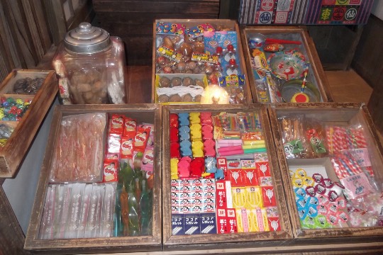 生き物ルーム第37