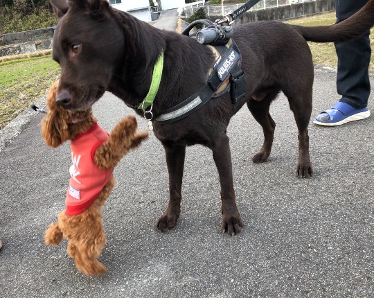 生き物ルーム第36