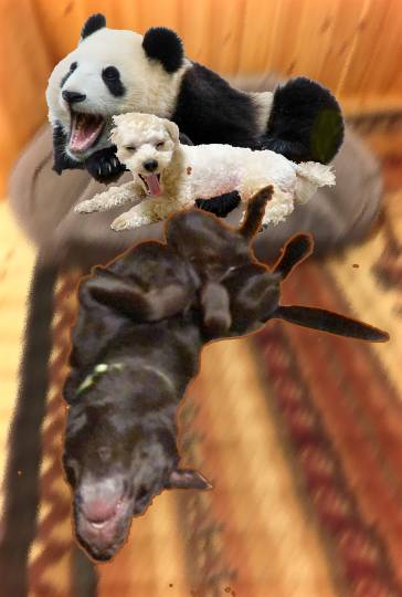 生き物ルーム第38