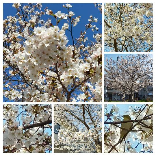 ★ドンキ♡♡ロピア 雑談22★