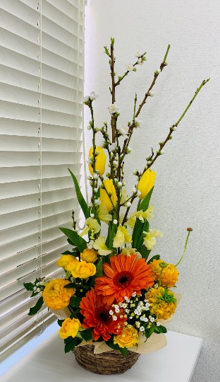 生き物ルーム第38