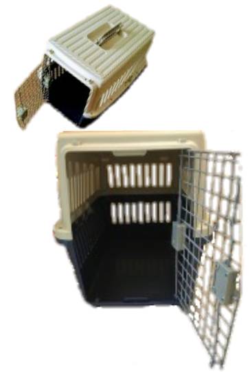 生き物ルーム第36