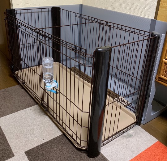 生き物ルーム第36