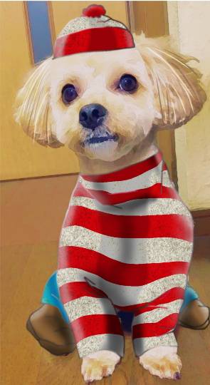 生き物ルーム第38