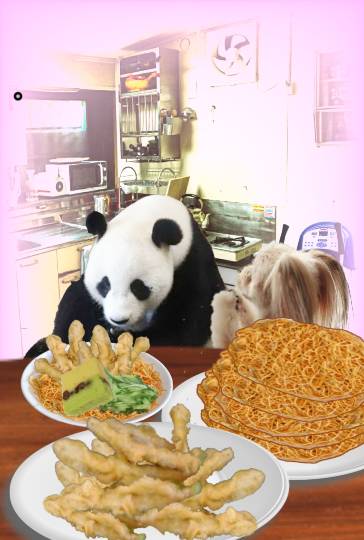 生き物ルーム第38