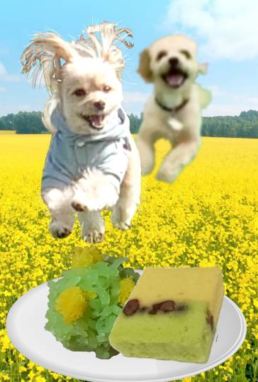 生き物ルーム第38