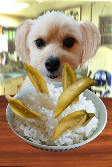 生き物ルーム第37