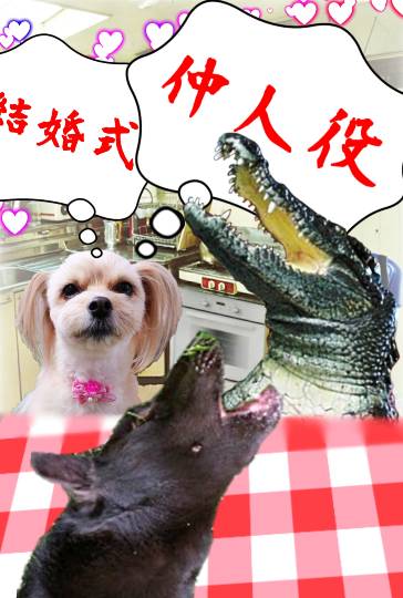 生き物ルーム第37